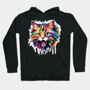 Cat Head Dripping Rainbow Graffiti Hoodie